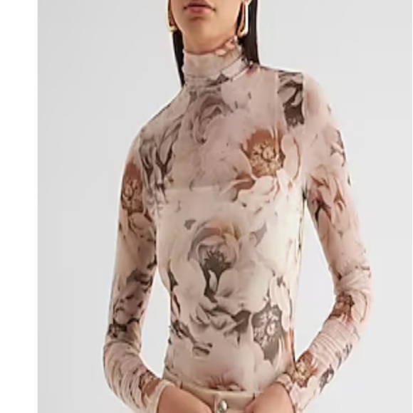 NWT Express sheer bodysuit- M - Picture 1 of 6